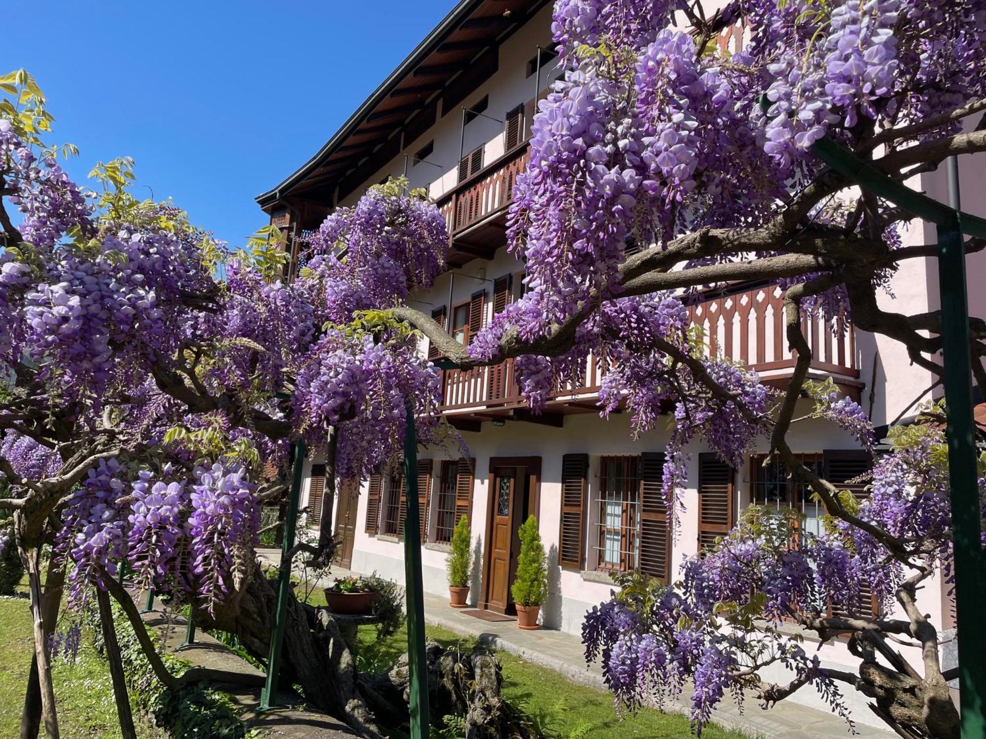 Dimora Fiorita Senior My Holiday Home Varallo Extérieur photo